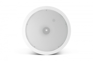 Loa JBL Subwoofer Control 19CST